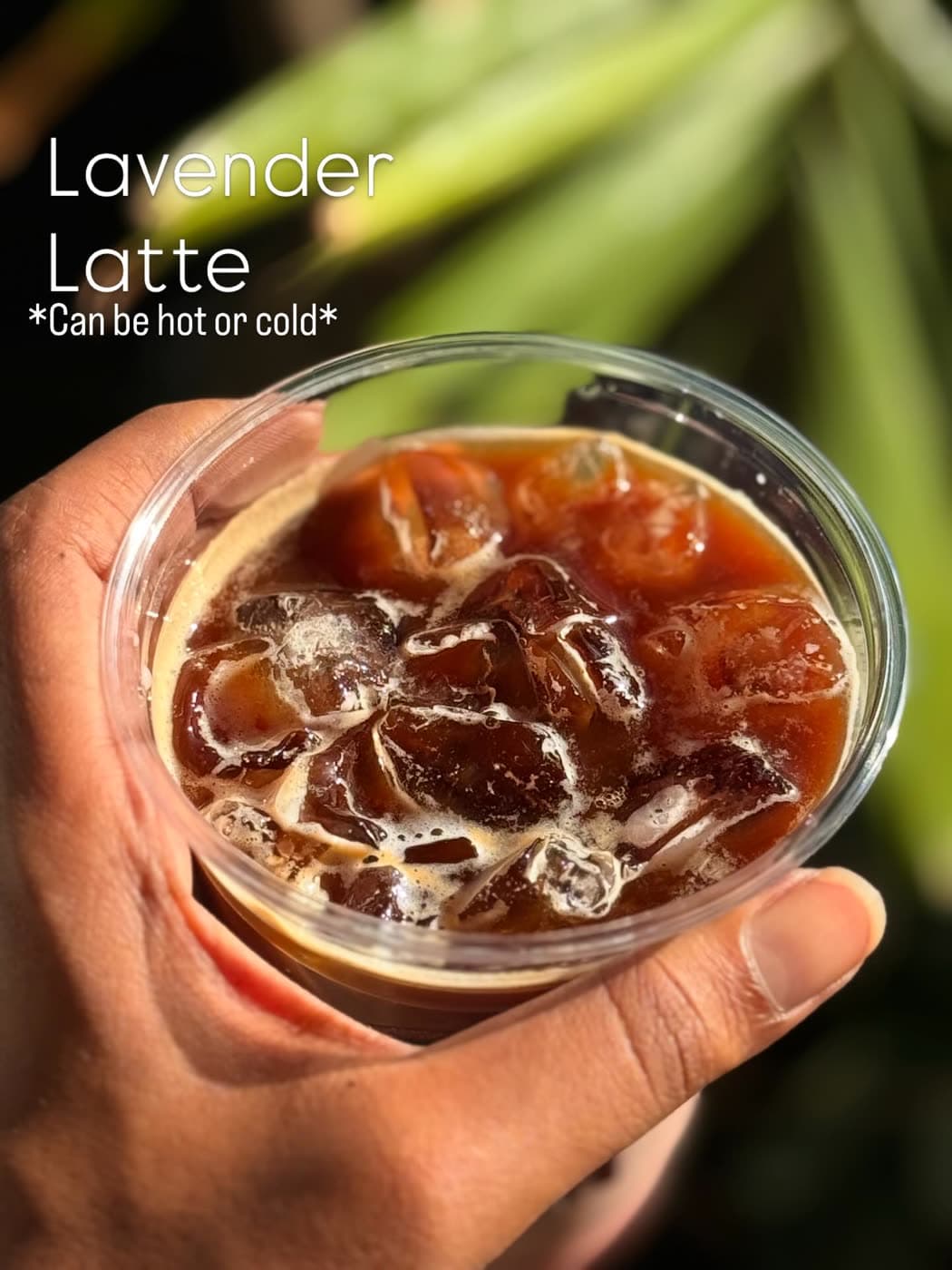 A hand holds an iced lavender latte in a clear cup against a leafy green backdrop.