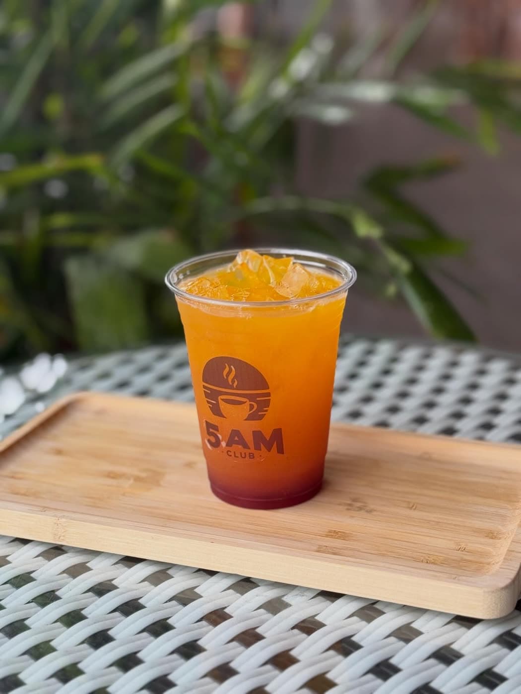 An ombre orange iced drink sits on a wooden tray outdoors surrounded by greenery.