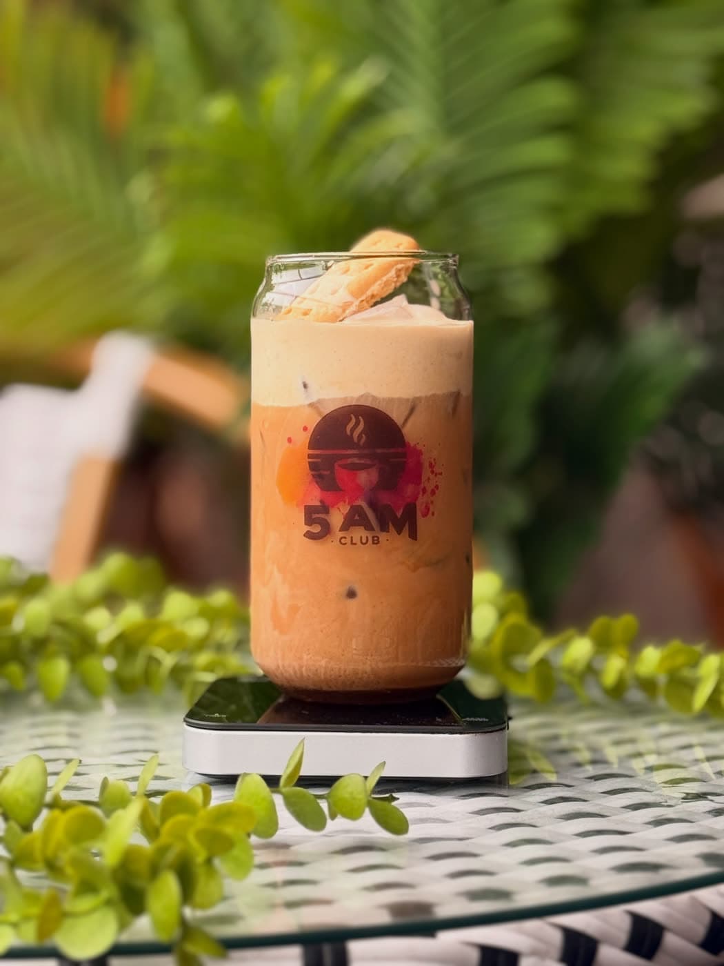 An iced latte in a branded glass can beside a shortbread biscuit against tropical ferns